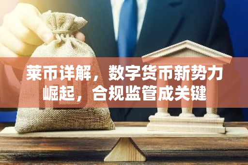 莱币详解，数字货币新势力崛起，合规监管成关键-第1张图片-智财锋资讯网