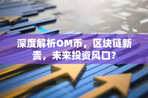 深度解析OM币，区块链新贵，未来投资风口？-第1张图片-智财锋资讯网