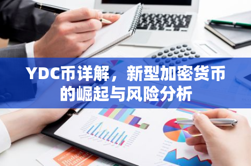 YDC币详解，新型加密货币的崛起与风险分析-第1张图片-智财锋资讯网