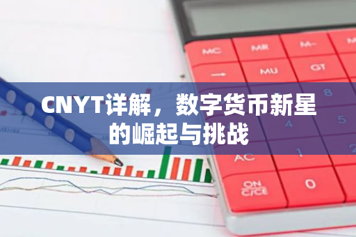 CNYT详解,数字货币新星的崛起与挑战-第1张图片-智财锋资讯网 CNYT详解,数字货币新星的崛起与挑战-第1张图片-智财锋资讯网