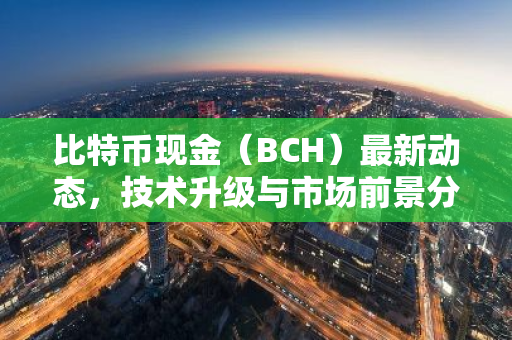比特币现金(BCH)最新动态,技术升级与市场前景分析-第1张图片-智财锋资讯网 比特币现金(BCH)最新动态,技术升级与市场前景分析-第1张图片-智财锋资讯网