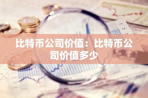 比特币公司价值：比特币公司价值多少-第1张图片-智财锋资讯网