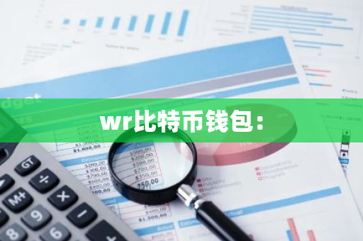 wr比特币钱包：-第1张图片-智财锋资讯网