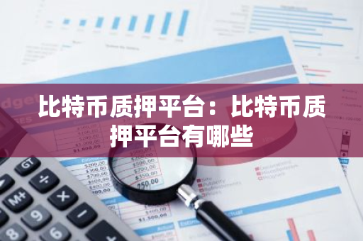 比特币质押平台：比特币质押平台有哪些-第1张图片-智财锋资讯网