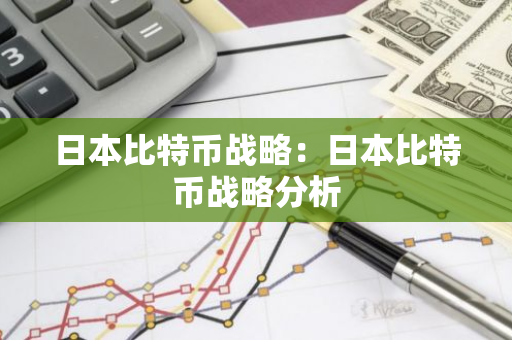 日本比特币战略：日本比特币战略分析-第1张图片-智财锋资讯网