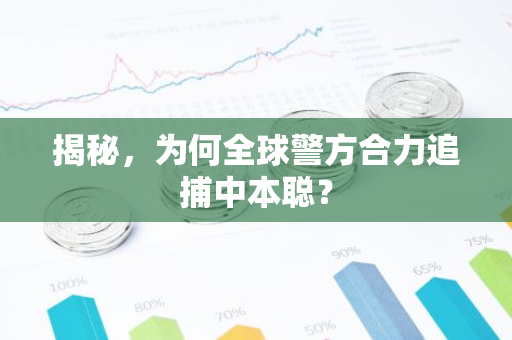 揭秘,为何全球警方合力追捕中本聪?-第1张图片-智财锋资讯网 揭秘,为何全球警方合力追捕中本聪?-第1张图片-智财锋资讯网