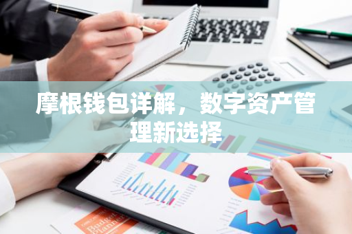 摩根钱包详解，数字资产管理新选择-第1张图片-智财锋资讯网