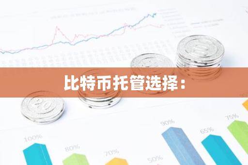 比特币托管选择：-第1张图片-智财锋资讯网