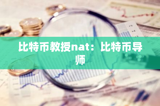 比特币教授nat：比特币导师-第1张图片-智财锋资讯网