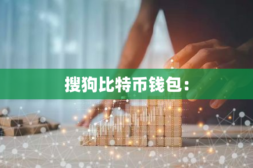 搜狗比特币钱包：-第1张图片-智财锋资讯网