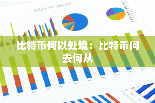 比特币何以处境：比特币何去何从-第1张图片-智财锋资讯网