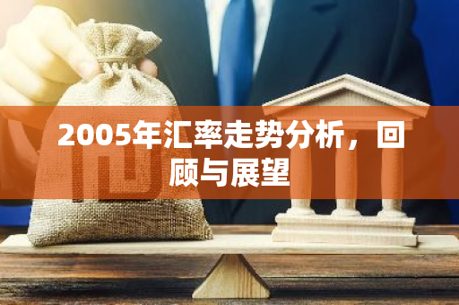 2005年汇率走势分析，回顾与展望