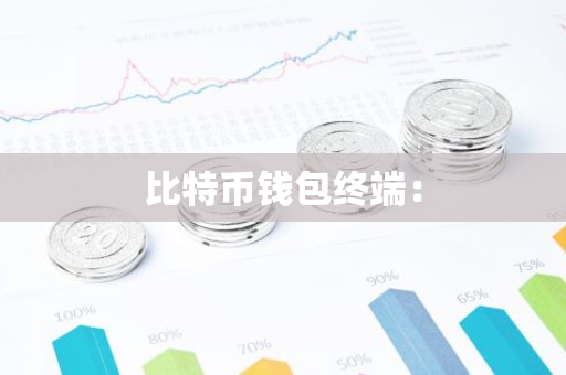 比特币钱包终端：-第1张图片-智财锋资讯网