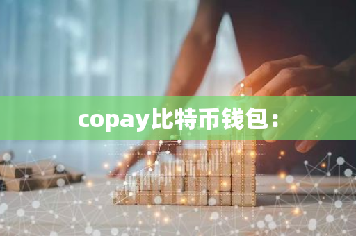 copay比特币钱包:-第1张图片-智财锋资讯网 copay比特币钱包:-第1张图片-智财锋资讯网