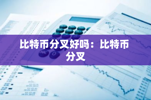 比特币分叉好吗：比特币 分叉