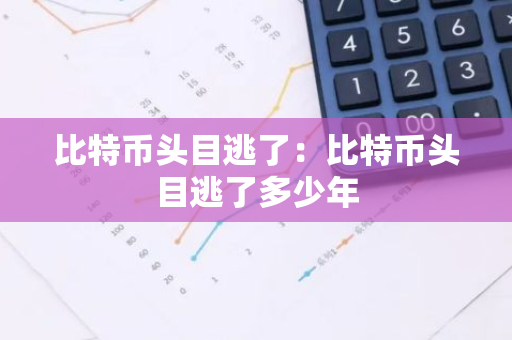 比特币头目逃了：比特币头目逃了多少年