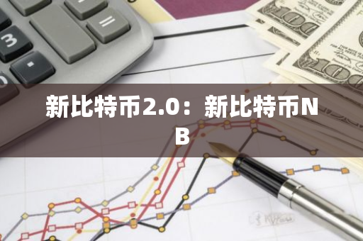 新比特币2.0：新比特币NB-第1张图片-智财锋资讯网