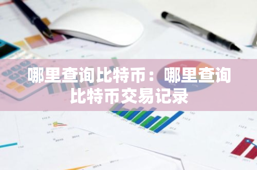 哪里查询比特币：哪里查询比特币交易记录-第1张图片-智财锋资讯网