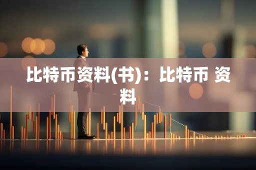 比特币资料(书)：比特币 资料-第1张图片-智财锋资讯网