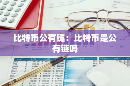 比特币公有链：比特币是公有链吗-第1张图片-智财锋资讯网