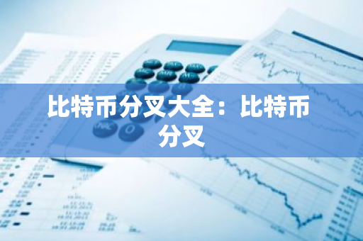 比特币分叉大全：比特币 分叉