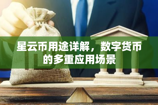 星云币用途详解，数字货币的多重应用场景-第1张图片-智财锋资讯网