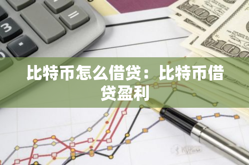 比特币怎么借贷：比特币借贷盈利-第1张图片-智财锋资讯网