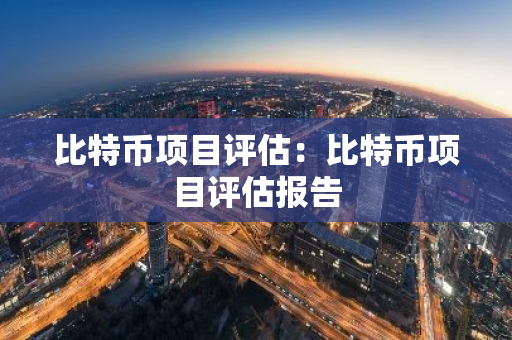 比特币项目评估：比特币项目评估报告