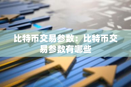 比特币交易参数：比特币交易参数有哪些-第1张图片-智财锋资讯网