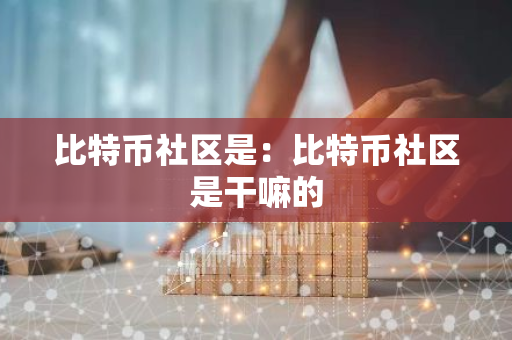 比特币社区是：比特币社区是干嘛的-第1张图片-智财锋资讯网