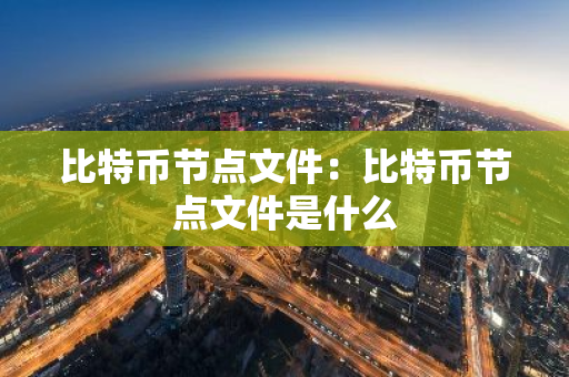 比特币节点文件：比特币节点文件是什么-第1张图片-智财锋资讯网