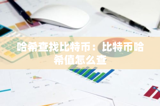 哈希查找比特币：比特币哈希值怎么查
