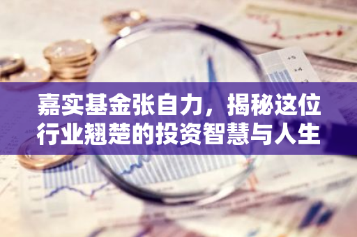 嘉实基金张自力，揭秘这位行业翘楚的投资智慧与人生轨迹
