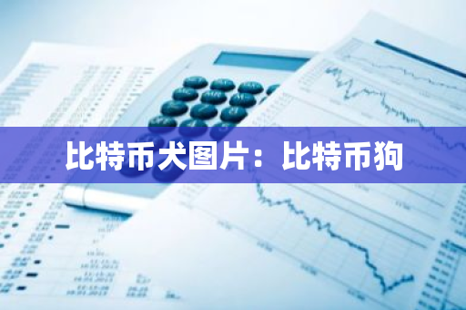 比特币犬图片：比特币狗-第1张图片-智财锋资讯网