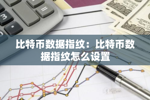 比特币数据指纹：比特币数据指纹怎么设置-第1张图片-智财锋资讯网