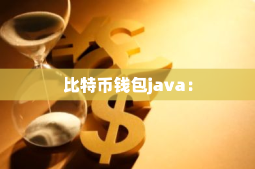 比特币钱包java：