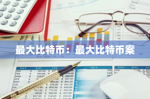 最大比特币：最大比特币案