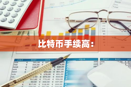 比特币手续高：-第1张图片-智财锋资讯网