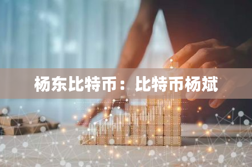 杨东比特币：比特币杨斌-第1张图片-智财锋资讯网