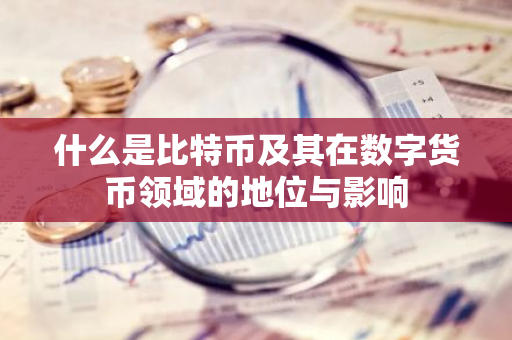 什么是比特币及其在数字货币领域的地位与影响-第1张图片-智财锋资讯网