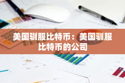 美国驯服比特币：美国驯服比特币的公司