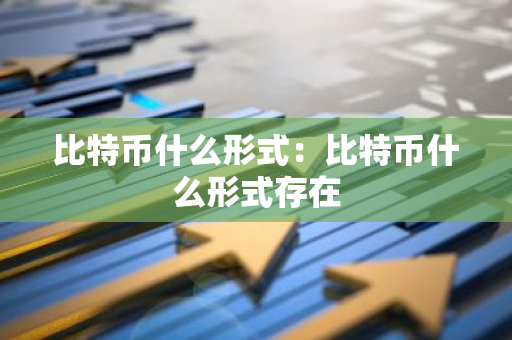 比特币什么形式：比特币什么形式存在