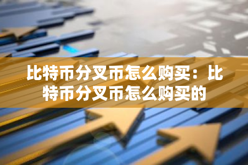 比特币分叉币怎么购买：比特币分叉币怎么购买的