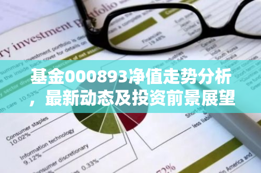 基金000893净值走势分析，最新动态及投资前景展望