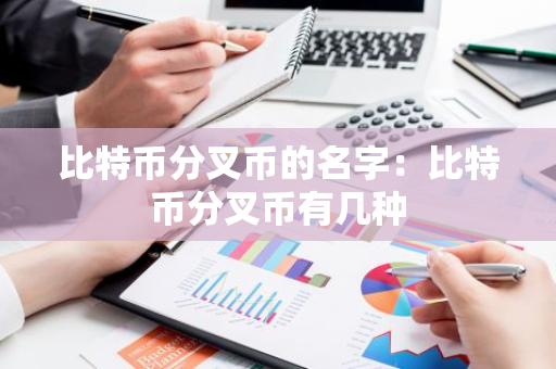 比特币分叉币的名字：比特币分叉币有几种-第1张图片-智财锋资讯网