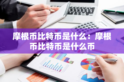摩根币比特币是什么：摩根币比特币是什么币