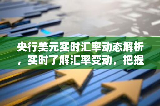 央行美元实时汇率动态解析，实时了解汇率变动，把握跨境交易时机