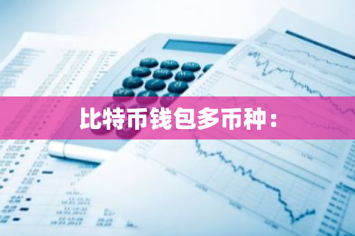 比特币钱包多币种：