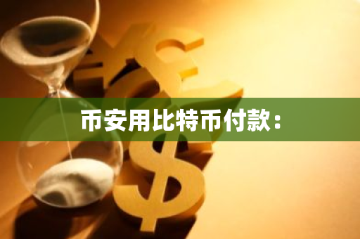 币安用比特币付款：-第1张图片-智财锋资讯网