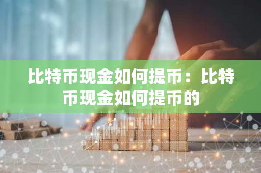 比特币现金如何提币：比特币现金如何提币的-第1张图片-智财锋资讯网